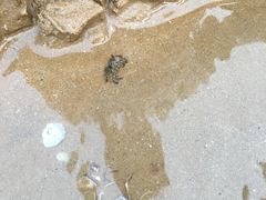 -青岛银沙滩