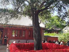 -红螺寺