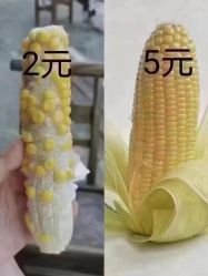 -希梵尔头皮抗衰·科技养发