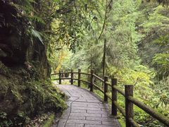 -西岭雪山大飞水景区