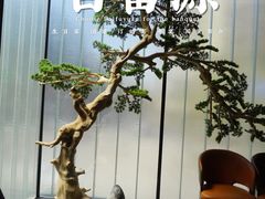 -百富源·海鲜辽菜(和平北大街店)