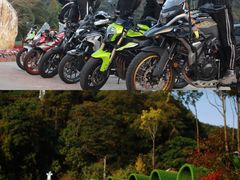 -广州市石门国家森林公园
