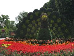 -石家庄市植物园