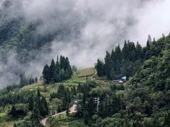 -鹿院坪生态旅游景区