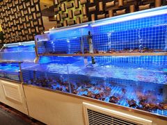 -鲁商铂尔曼大酒店·铂丽自助餐厅