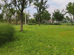 -嘉北郊野公园
