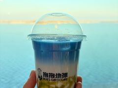 -抱抱地球咖啡馆(国家海洋博物馆店)