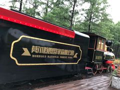 -莫尔道嘎国家森林公园