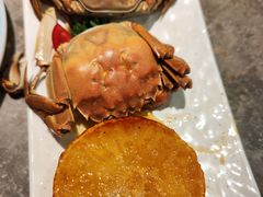 -亚马逊蒸汽活海鲜自助(LCM置汇旭辉广场店)