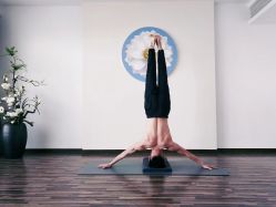 -酉嘉瑜伽YO+YOGA