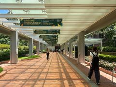 -香港大学