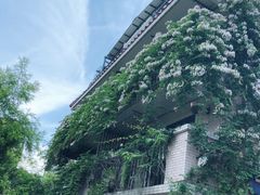 -南丫岛