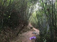 -牛鱼嘴原始生态风景区