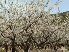 -云龙湖旅游景区