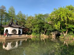 -红梅公园