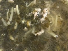 -五芳齋粽子点心(浦北路店)