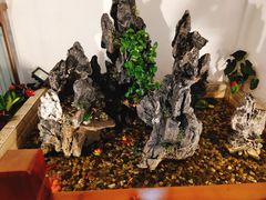 -农家小院(朱雀桥店)