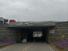 -白鹭湾湿地公园