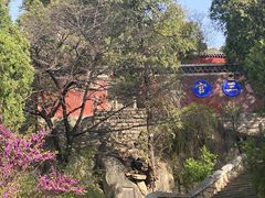 -泰山风景名胜区