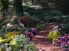 -上海共青森林公园