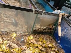 -遇上西雅图多融合海鲜自助餐厅(中房金谊广场店)