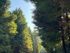 -南京市无想山景区