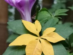 -广州市干部健康管理中心