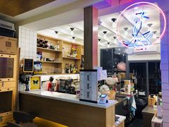-滚猫咖啡·猫咖·猫友好撸猫(未来城店)