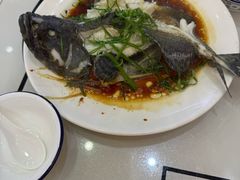 清蒸石斑鱼-覃记海鲜美食餐厅