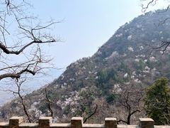 -鹫峰国家森林公园