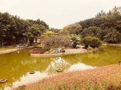 -广州雕塑公园