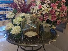 -红星美凯龙(东北全球家居1号店)