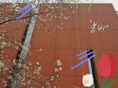 -中山公园