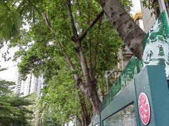 -东山茶寮(新安店)