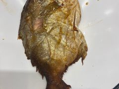 -紫光园·烤鸭·北京菜(劲松店)