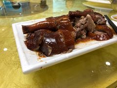 -姚林轩