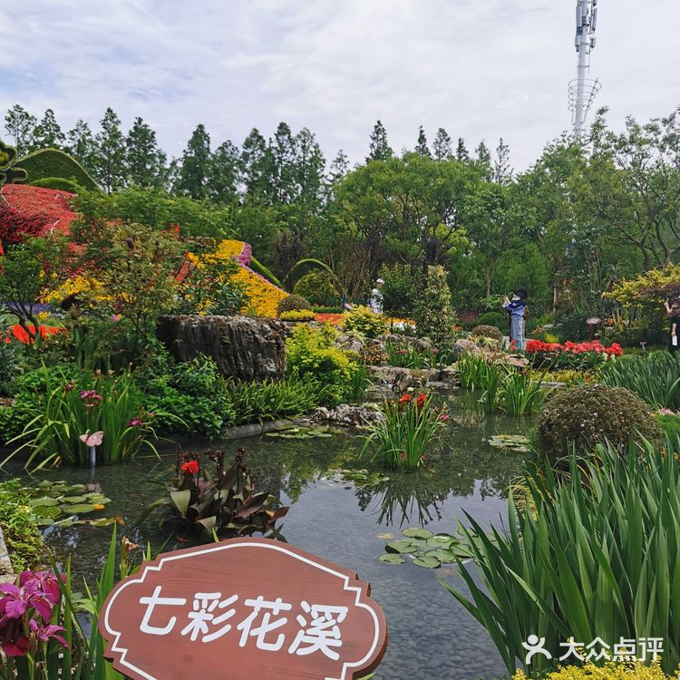 2021年第十届花博会在上海开幕啦❗❗