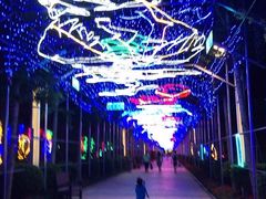 -南宫五洲植物乐园