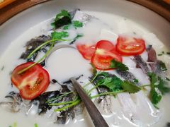 -全乐鱼馆·淳牌有机鱼直营店