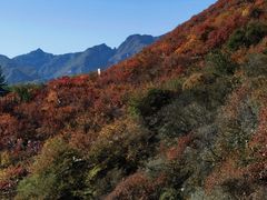 -周口店坡峰岭风景区
