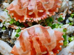 -广州富力君悦大酒店空中花园