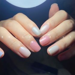 -BELLAREAL新美社