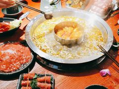 -谭鸭血老火锅 (云梦店)