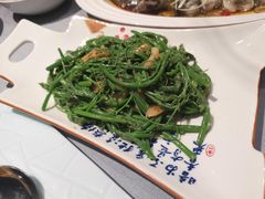 南瓜苗-T館·花园艺术餐厅