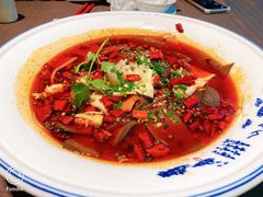 -樽宴酒楼·地道川菜·品质宴请