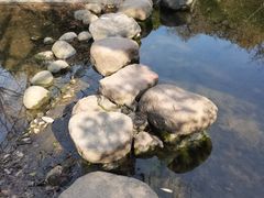 -汤山公园