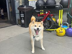 -VPsmart私教健身工作室(新华路旗舰店)