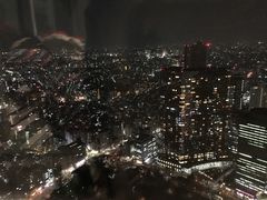 -东京都厅舍
