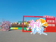 -苏州太湖西山岛开心农场