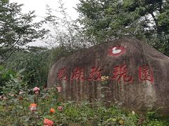 -鹅湖玫瑰文化园